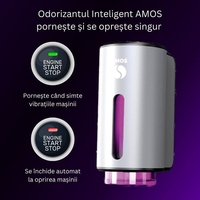 PACHET Difuzor AMOS mic + 3 parfumuri CADOU