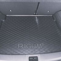Tavita de portbagaj BMW X1 2009-