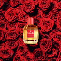 GISADA Ambassadora Eau De Parfum x100ml