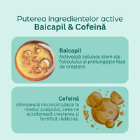 Momirov-Serum pentru creșterea rapidă a părului cu Baicapil și cofeină, 100 ml