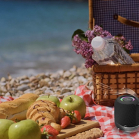 SPK-BT-LED-05-BK Gembird Portable Bluetooth RGB LED TWS speaker, 8W, BT, FM, USB, Handsfree, Black