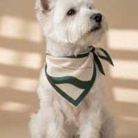 JADE | DOG