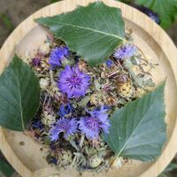 ФитоКомплекс «Лёгкость без геморроя»