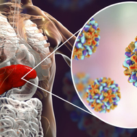 ФитоКомплекс «Восстановление печени»
