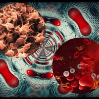 ФитоКомплекс «Восстановление печени»