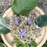 ФитоКомплекс «Сахарный баланс»