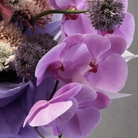 Lavender Couture