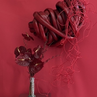 The power of the love