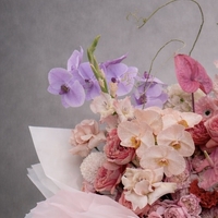 Blush Cascade