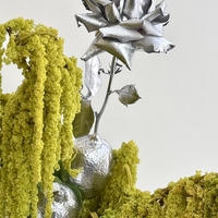 Steelrose