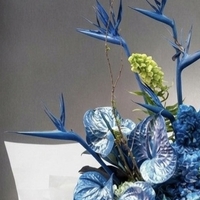 Blue Obsession