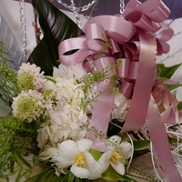 White Bloom, Chained in Grace