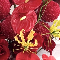 Passion in bloom