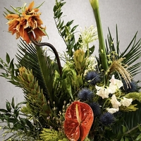 Wild Botanical