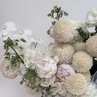 Cloudbloom