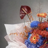Electric Bloom