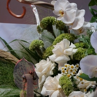 Silver Garden