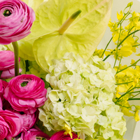 Blush of Spring