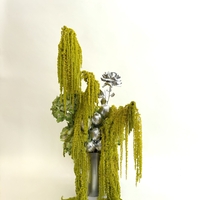 Steelrose
