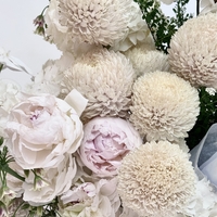 Cloudbloom