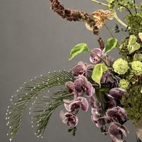 Organic Matter
