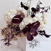 Royal Bloom