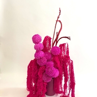 Sugar Bloom