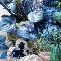 Blue Obsession