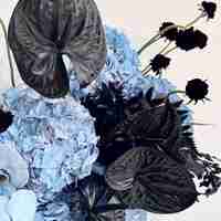 Black Sapphire