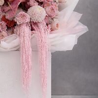 Blush Cascade