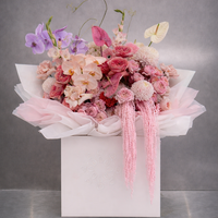 Blush Cascade