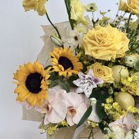 Citrina