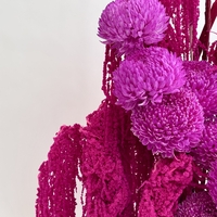 Sugar Bloom