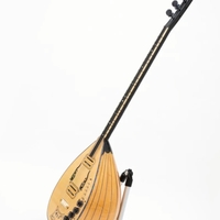 Electronic Baglama