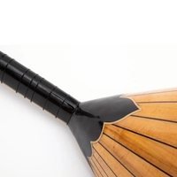 Electronic Baglama