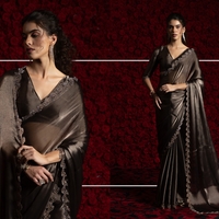 Saree : Tissue Chiffon Hand work Jarkan ,Work Border