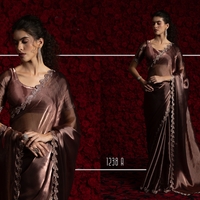 Saree : Tissue Chiffon Hand work Jarkan ,Work Border