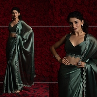 Saree : Tissue Chiffon Hand work Jarkan ,Work Border