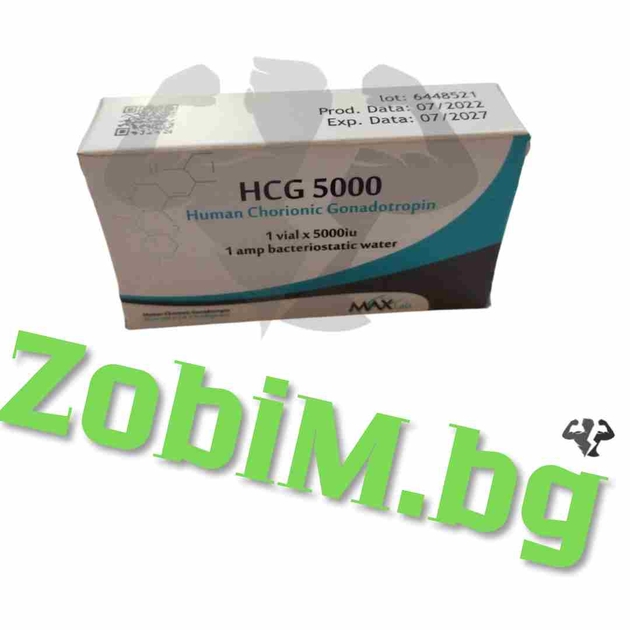 Human Chorionic Gonadotropin (HCG) for Post-Cycle Therapy (PCT) in ...