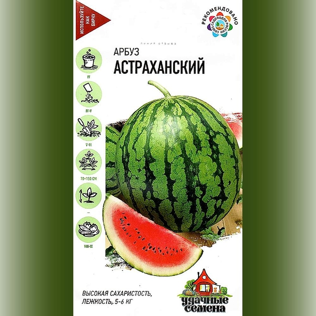 Вопреки расхожего мнения астраханский арбуз. Арбуз Астраханский. Арбуз Астраханский семена. Сорта арбузов Астраханской области. Арбуз Астраханский русский огород.