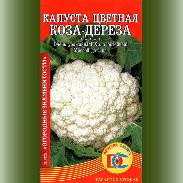 Цветная капуста коза описание. Капуста цветная коза Дереза. Цветная капуста коза Дереза фото. Цветная капуста коза Дереза описание сорта фото.