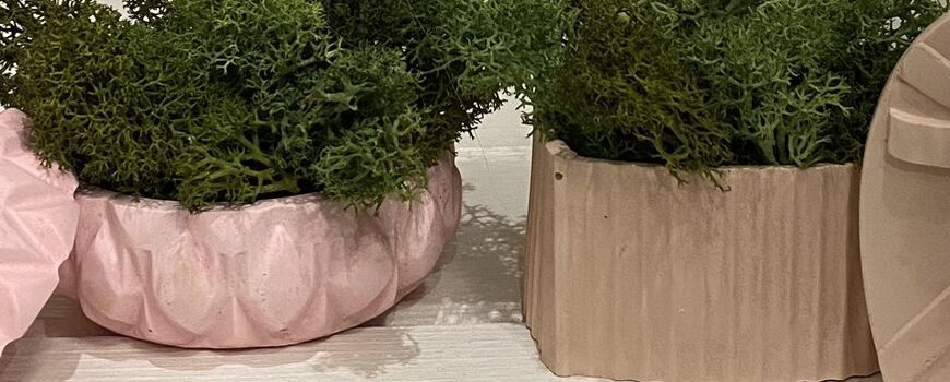 САПУНЕНИ ЦВЕТЯ,КЕРАМИЧНИ КАШПИ И АРОМАТНИ СВЕЩИ
