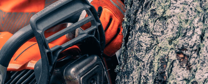 Верижни триони