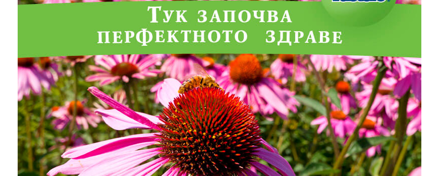 Хранителни добавки