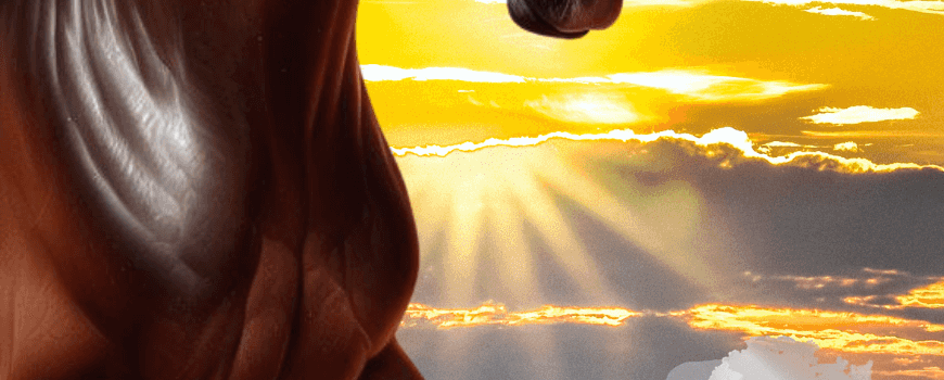 Тодоровден