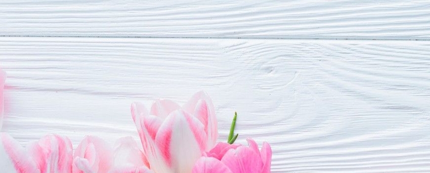 ПОДАРИ С ЛЮБОВ - ПОДАРЪЦИ