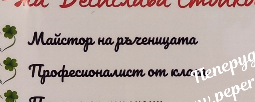Учител/ Педагог/ Хореограф
