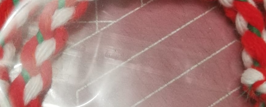 МЪЖКИ МАРТЕНИЦИ