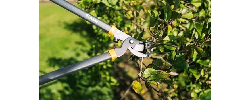 Японски ножици