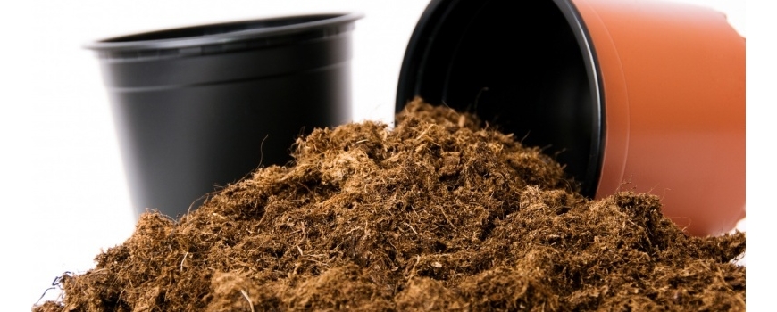 Торфени субстрати